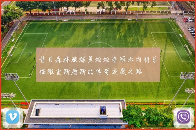 昔日森林狼球员纷纷夺冠加内特乐福维金斯唐斯的传奇逆袭之路